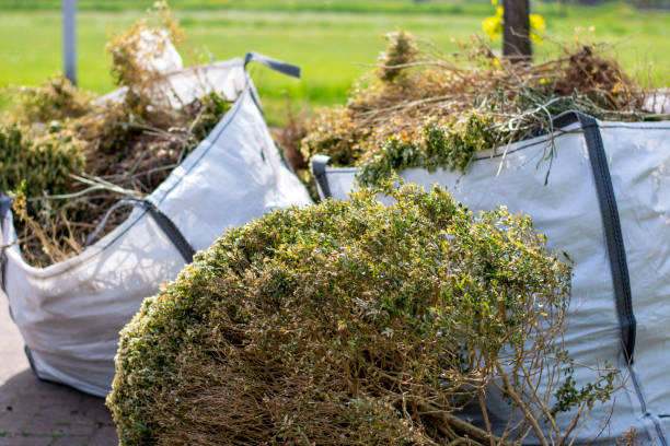 Best Basement Cleanout  in Jonesville, LA